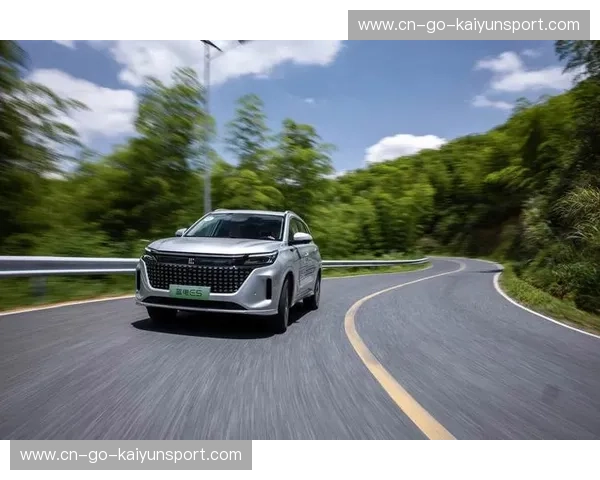 开云体育搜索功能：一键锁定你感兴趣的赛事，享受极致体验